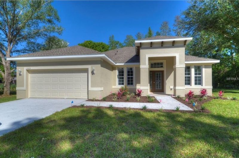 Picture of 15925 Country Farm Pl, Tampa, FL | Hillsborough County