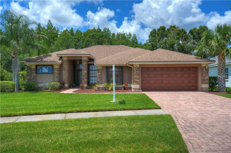 Picture of 13413 Iola Dr, Tampa, FL | Hillsborough County