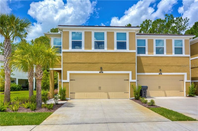 Picture of 17850 Althea Blue Pl, Lutz, FL | Charlotte County