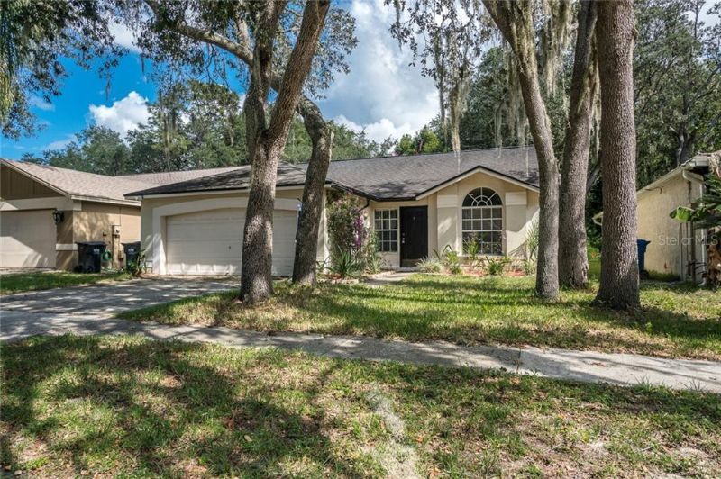 Picture of 4137 Quail Briar Dr, Valrico, FL | Valrico | Hillsborough County